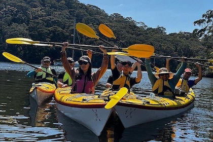Half-Day Sydney Middle Harbour Guided Kayaking Eco Tour