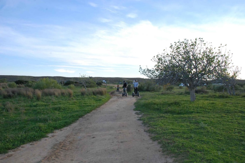 Picture 10 for Activity Albufeira: Salgados Nature Reserve Segway Tour