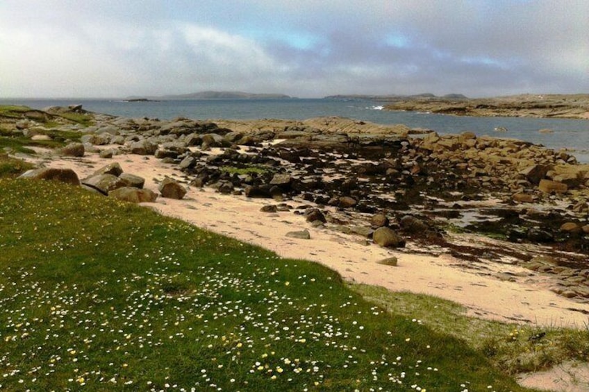 Connemara & Inishturk Island wildlife watching cruise. Private guided Full-day 