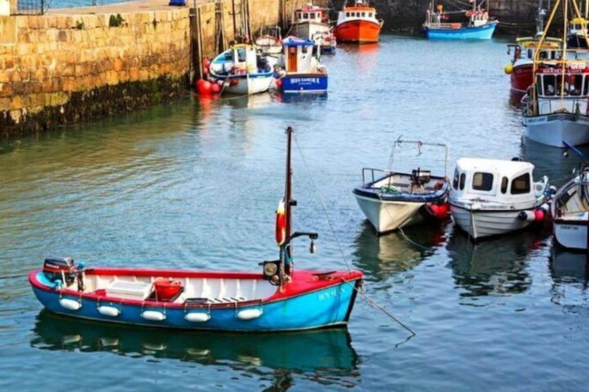 Connemara & Inishturk Island wildlife watching cruise. Private guided Full-day 