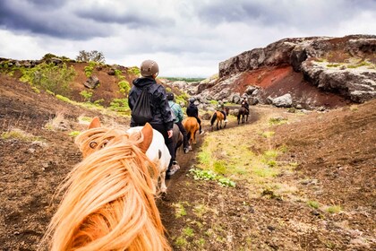 Reykjavik: Ridetur til hest på den røde lava