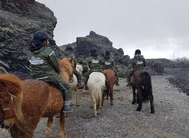 Reykjavik : Randonnée à cheval sur la lave rouge