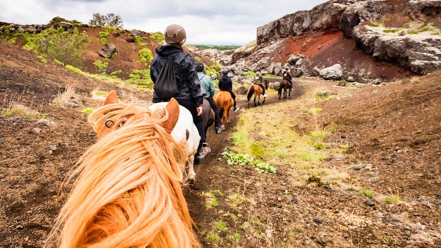 Reykjavik: Red Lava Horse Riding Tour