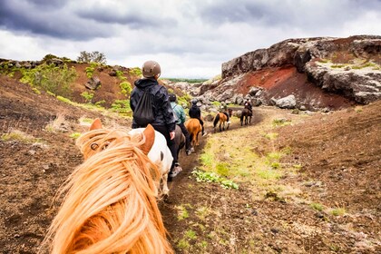 Reykjavik: Red Lava Horse Riding Tour