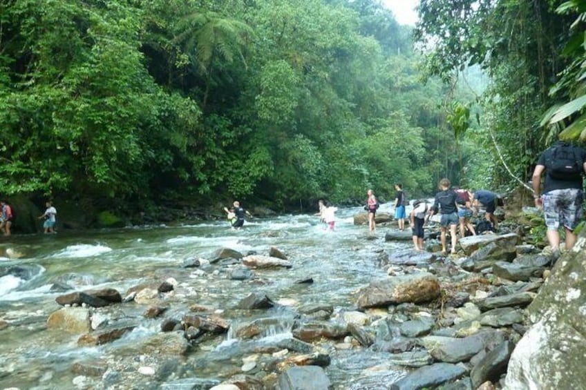 5-Day Lost City Trek in Santa Marta