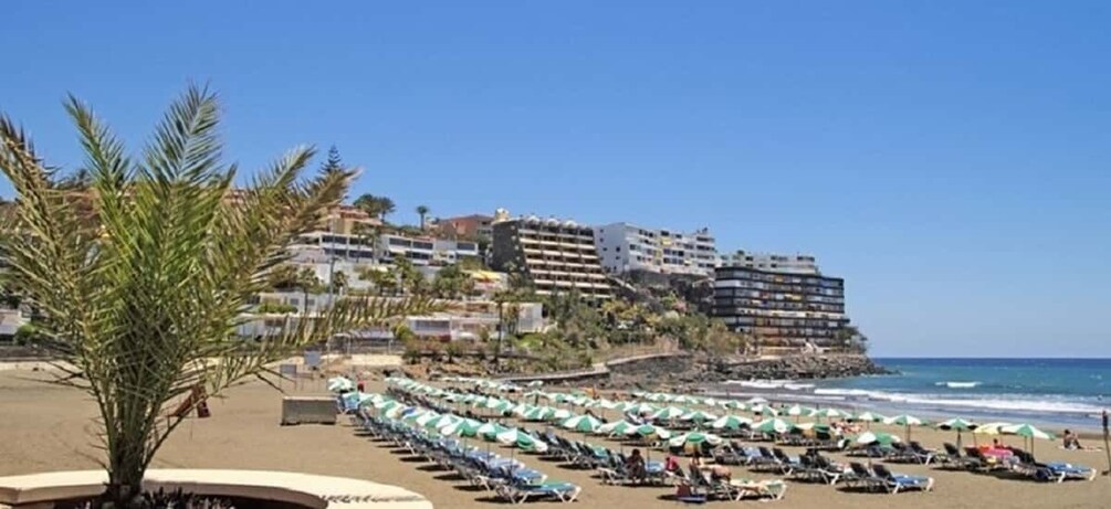 Picture 6 for Activity Maspalomas: 1 Hour Segway Sightseeing Tour