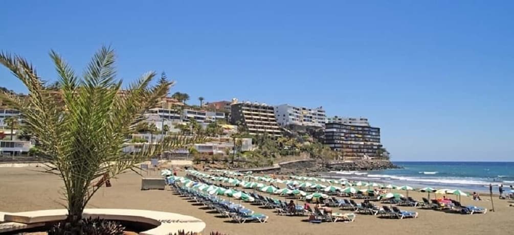 Picture 7 for Activity Maspalomas: 1 Hour Segway Sightseeing Tour