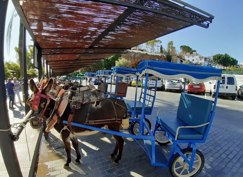 Picture 9 for Activity Mijas: Private Walking Tour