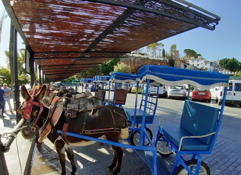 Picture 9 for Activity Mijas: Private Walking Tour