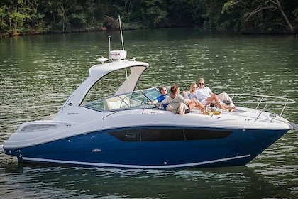 Luxury Speed Boat Cruising In Goa