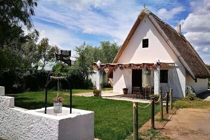 Shore excursion: Albufera Natural Park Private Tour from Valencia with tran...