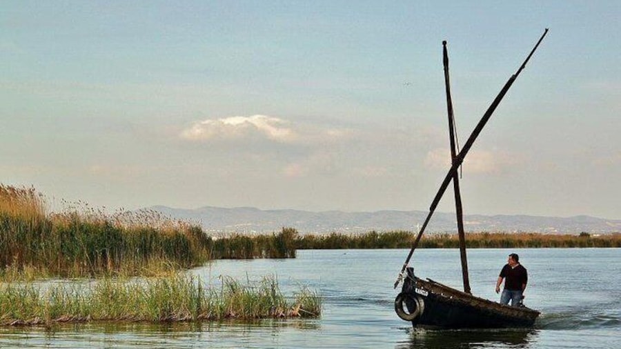 Albufera Natural Park