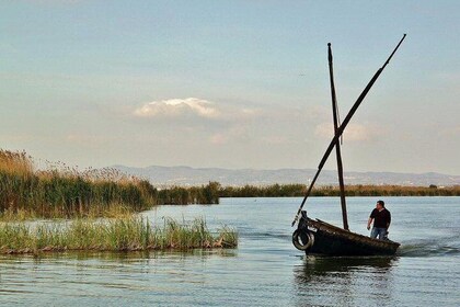 Shore excursion: Albufera Natural Park Private Tour from Valencia with tran...