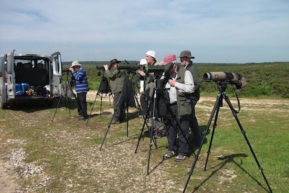 Birdwatching week for bird entousiasts