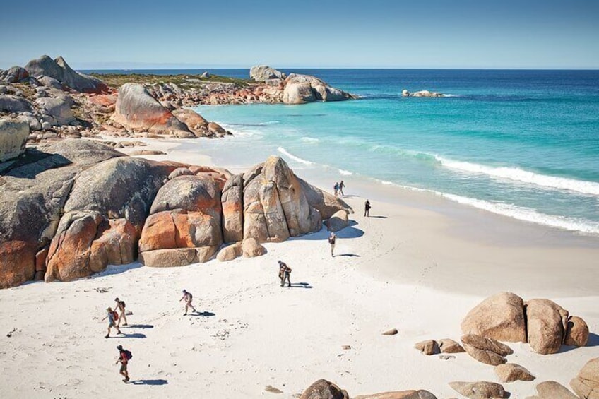 Bay of Fires - 4 Day Walking Tour 