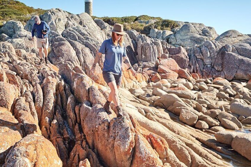 Bay of Fires - 4 Day Walking Tour 