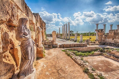 Famagusta & salamis Private Tour From Famagusta & Checkpoints