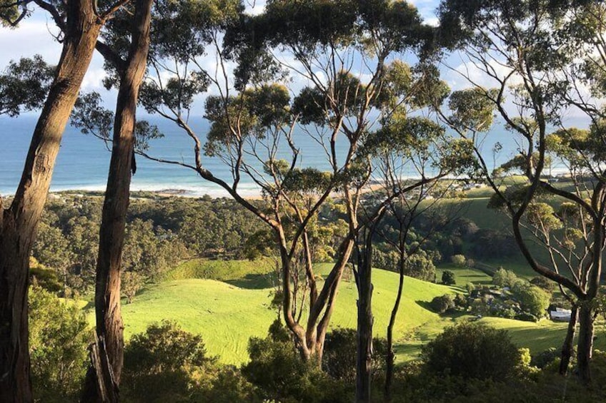 View from Chris's restaurant at Skenes Creek, Great Ocean Road.