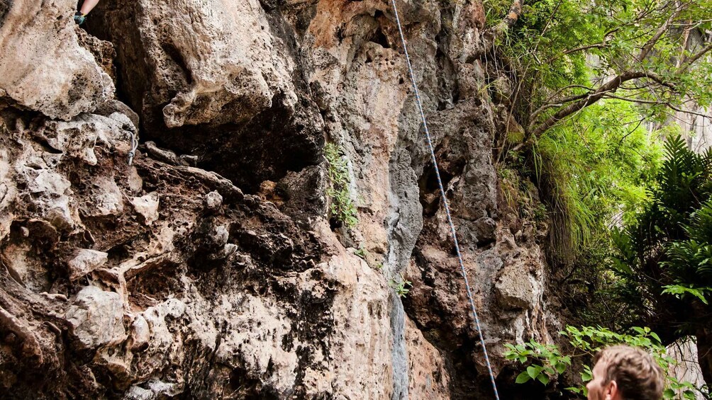 Picture 13 for Activity Krabi: Half-Day Rock Climbing at Railay Beach