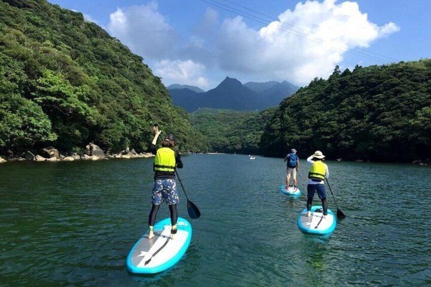 River SUP is easy for beginners to enjoy!