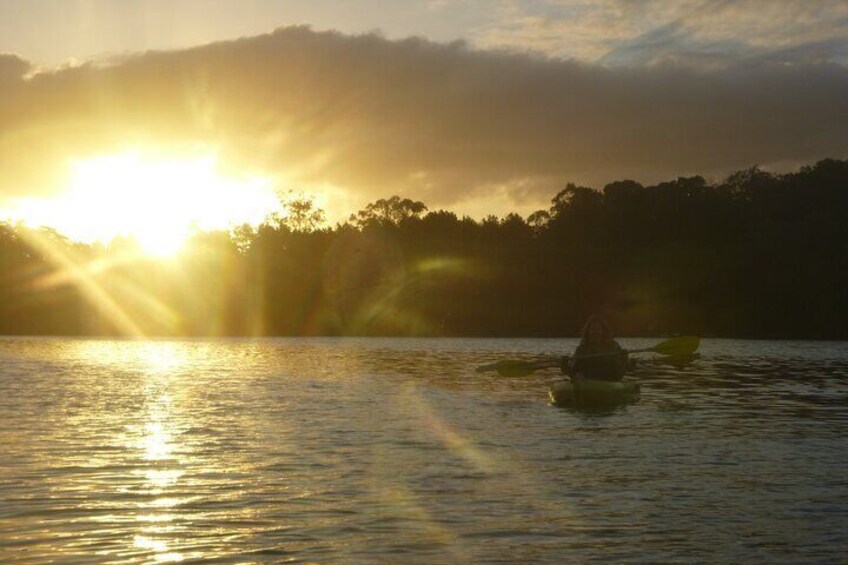 Sunset Brunswick River Nature Kayak Tour
