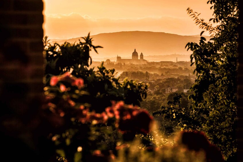 Picture 2 for Activity Assisi: Organic Balsamic Vinegar, Olive Oil & Wine Tour