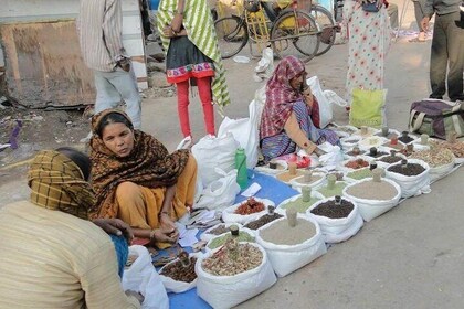 Full day tour of Old Delhi with Guide & Lunch