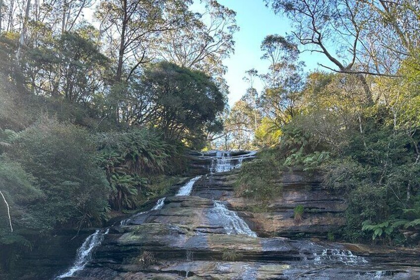Blue Mountains Full Day Guided Tour 