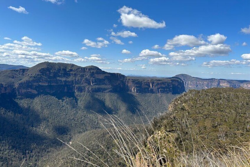 Blue Mountains Full Day Guided Tour 