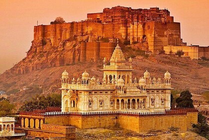 5 days Palaces of Rajasthan tour from Delhi including Taj Mahal in private ...