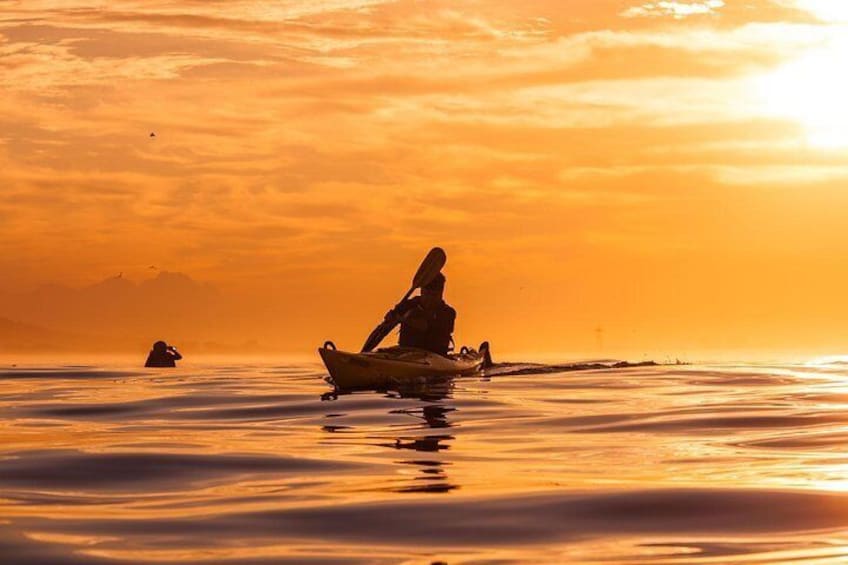 Sunset paddles in Table Bay are very special