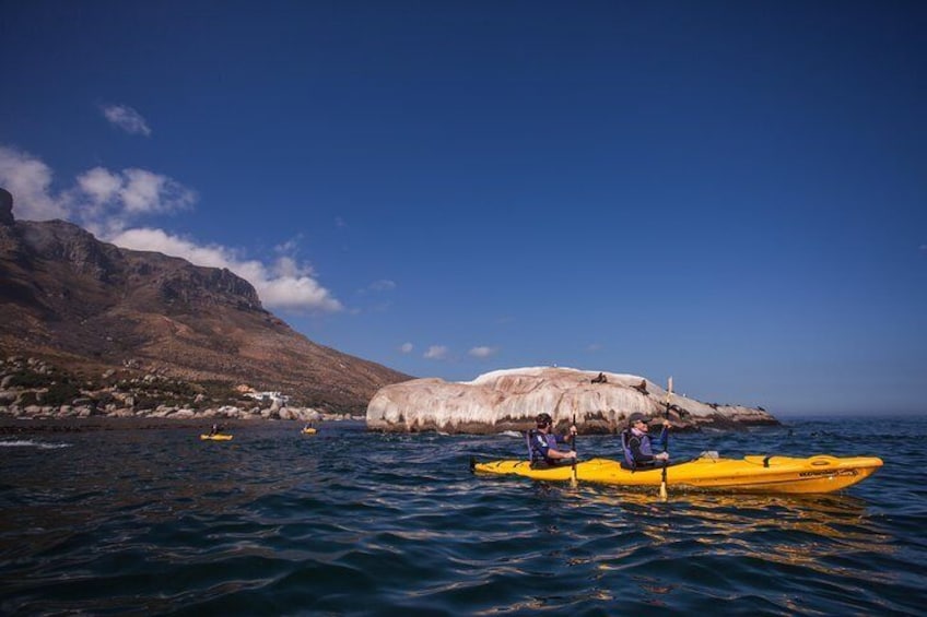 Kayak in Table Bay