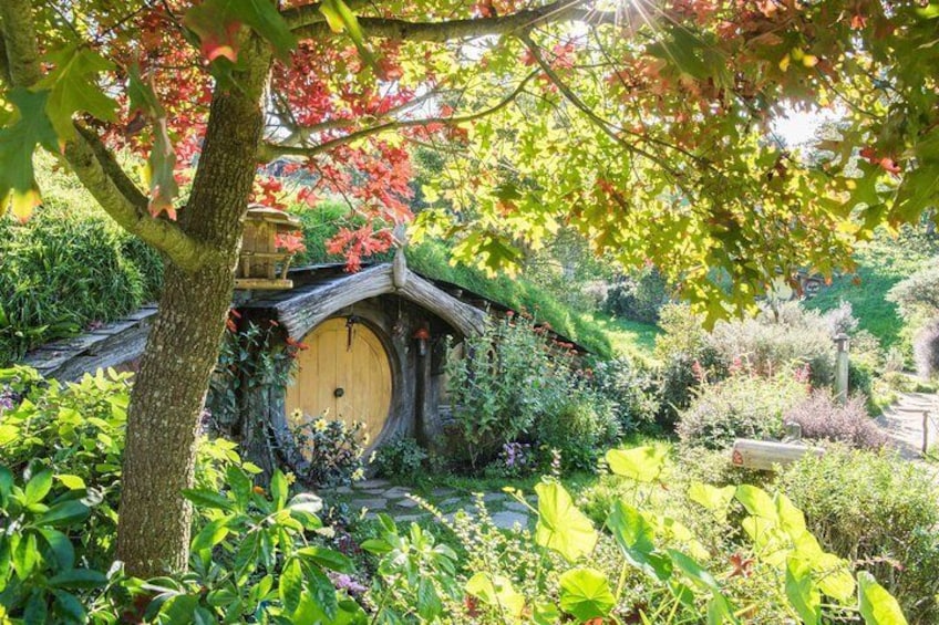 Private Tour - Hobbiton and Te Puia