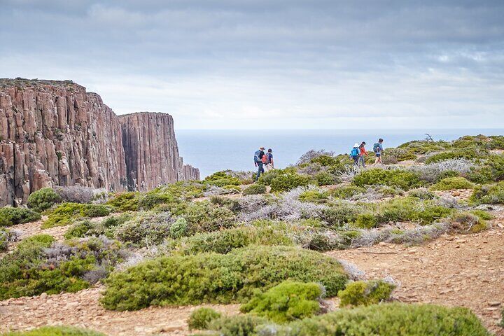 Three Capes & Tasman Peninsula - 4 Day Walking Tour