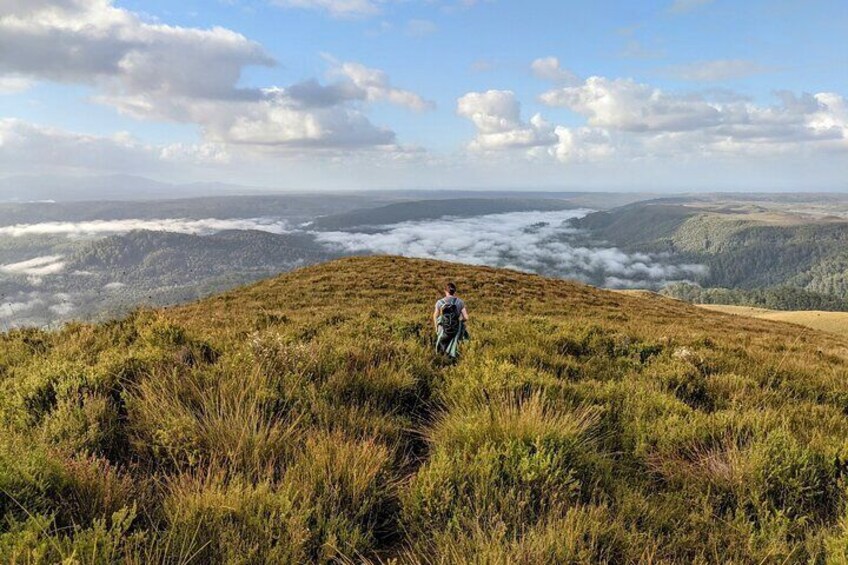 Tarkine Wilderness 5 Day 'Pack Free' Walking Tour 