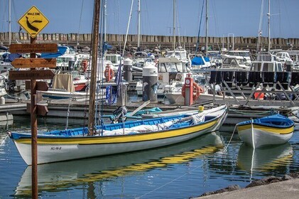 Azorean Whalers Heritage Tour
