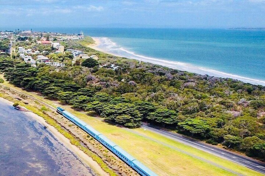 The Q Train coming into coastal village of Queenscliff.
