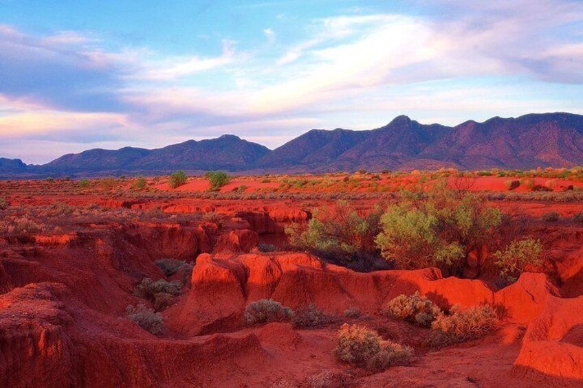 Adelaide to Coober Pedy 7 Day Small Group 4WD Eco Safari