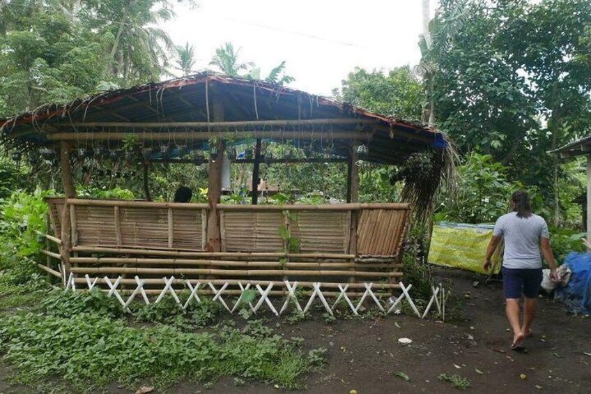 Market Tour and Provincial Filipino Cooking Class in the Countryside