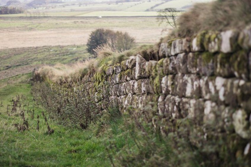 Private Tour - Roman Britain & Hadrian's Wall Tour