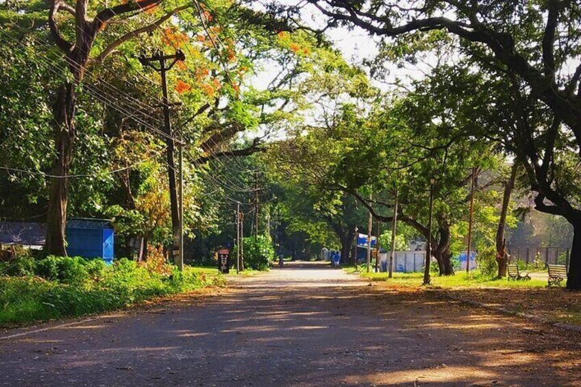 Walking Tour of Fort Kochi and Mattancherry with a Local Private Guide