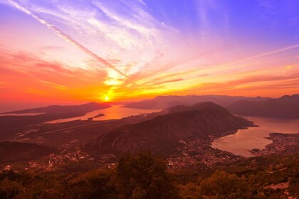 Depuis Podgorica : Vieilles villes de Kotor et Budva excursion et lac de Sk...