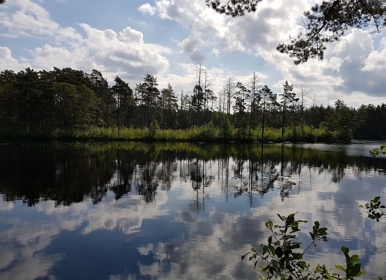 Picture 11 for Activity From Riga: Four Natural Ecosystems In One Hike