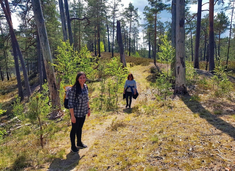 Picture 15 for Activity From Riga: Four Natural Ecosystems In One Hike