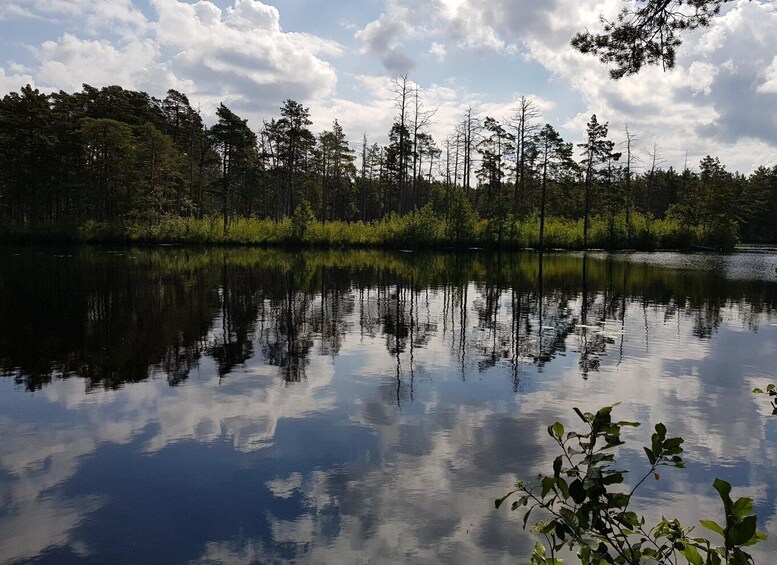 Picture 11 for Activity From Riga: Four Natural Ecosystems In One Hike