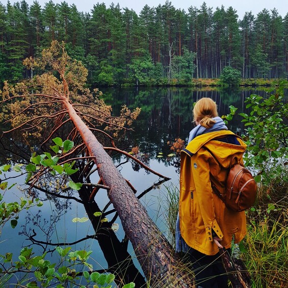 Picture 12 for Activity From Riga: Four Natural Ecosystems In One Hike