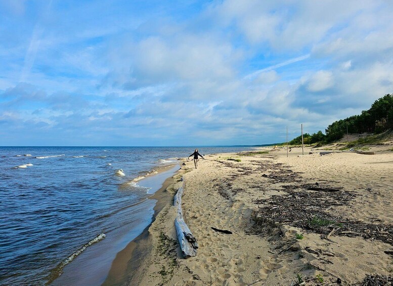 Picture 17 for Activity From Riga: Four Natural Ecosystems In One Hike