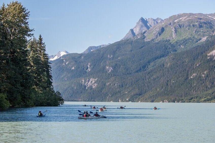 Wilderness Kayak Adventure in Haines
