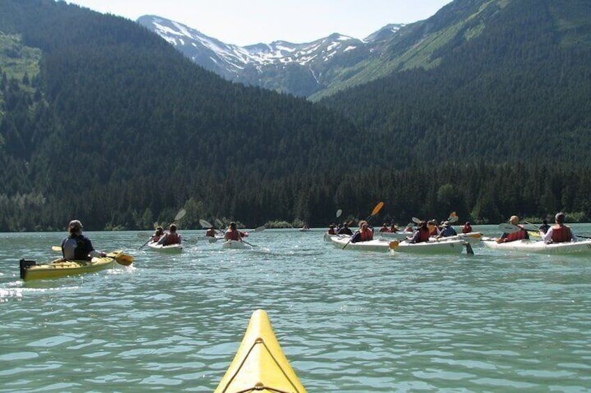 Wilderness Kayak Adventure in Haines