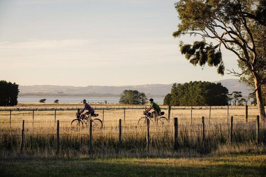 Remutaka Rail Trail Mountain Bike Explorer Cycle Tour